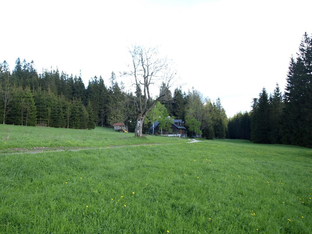 Chata Pod Koberstejnem Rejvíz Extérieur photo